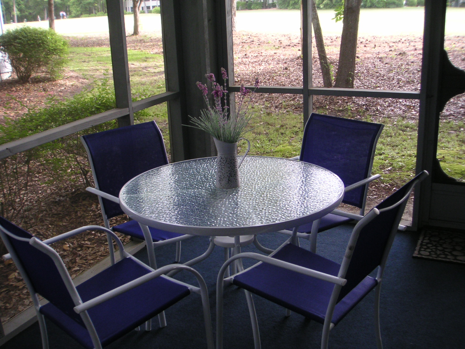 Screened porch view